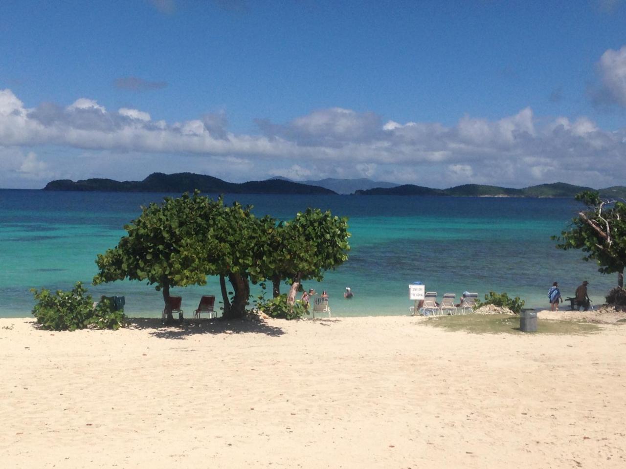 Luxury Beachfront - One Step To Sapphire Beach East End  外观 照片